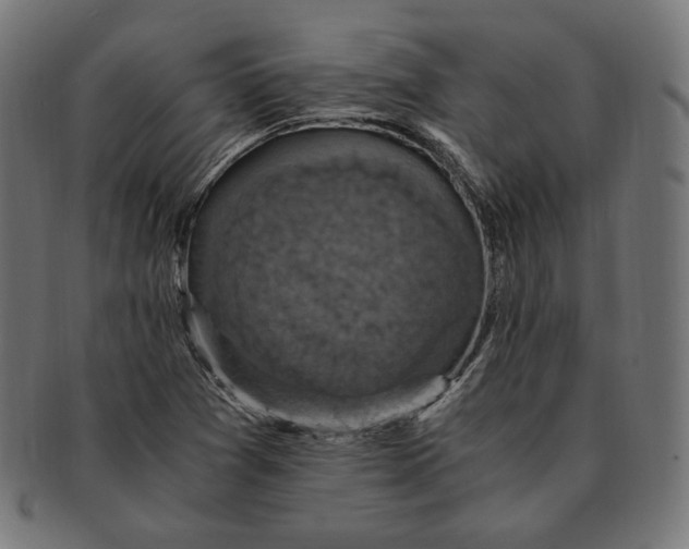 X0000091711361200709210934