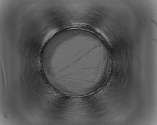 X0000091711362200709210934