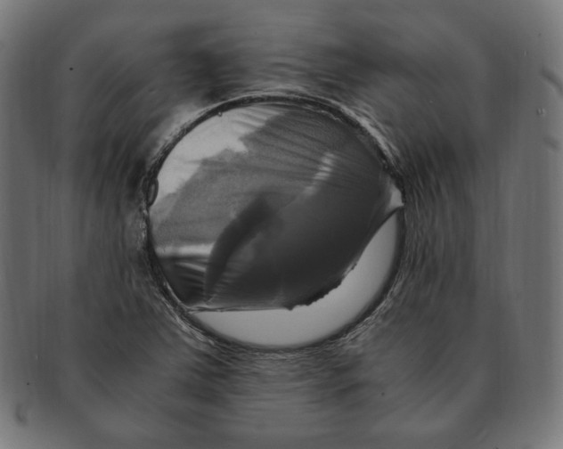 X0000091711363200709210934