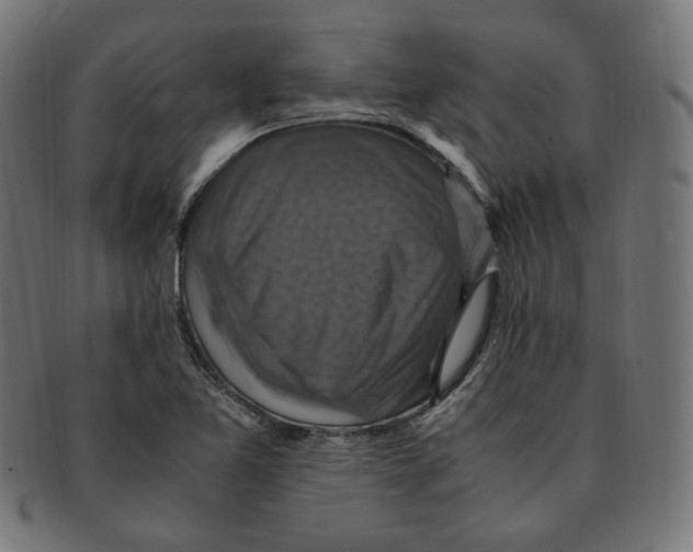 X0000091711365200709210934