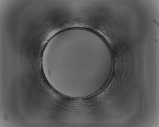 X0000091711367200709210934