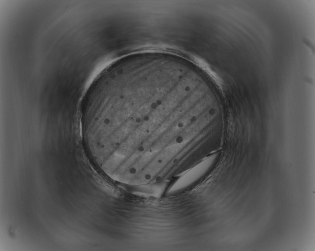 X0000091711368200709210933