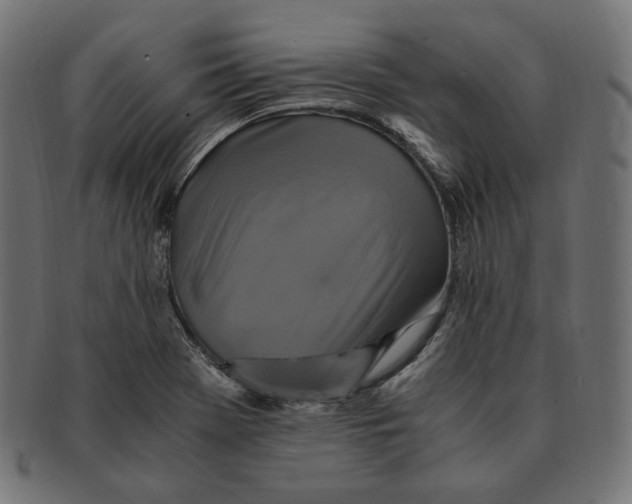 X0000091711369200709210933