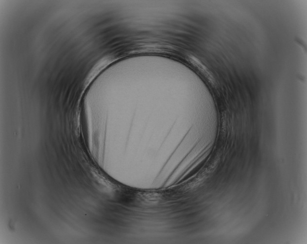 X0000091711370200709210933