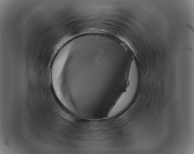 X0000091711371200709210933