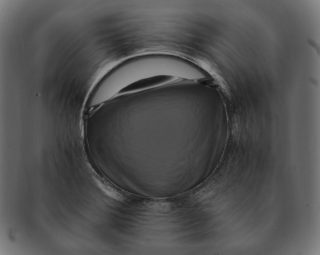 X0000091711372200709210933