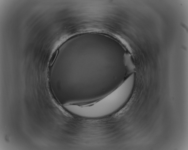 X0000091711373200709210933