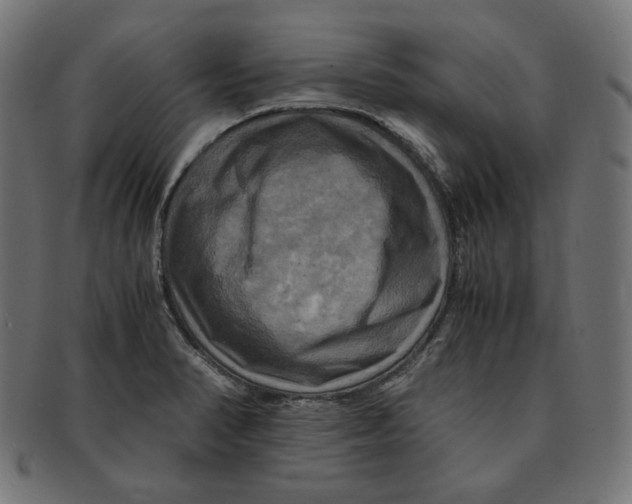 X0000091711374200709210933