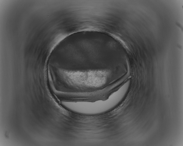 X0000091711375200709210933