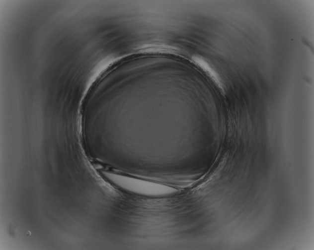 X0000091711376200709210933