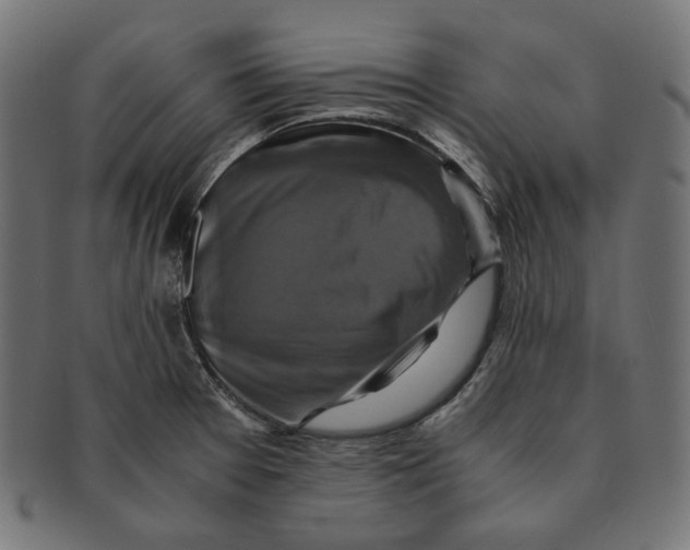 X0000091711377200709210933