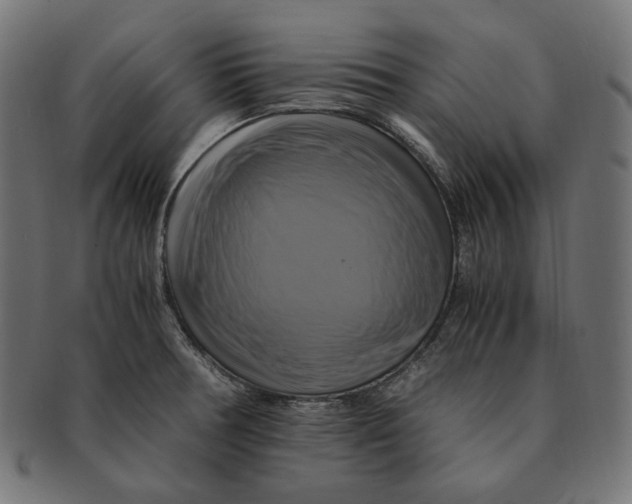 X0000091711378200709210933