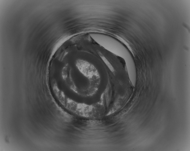 X0000091711379200709210933