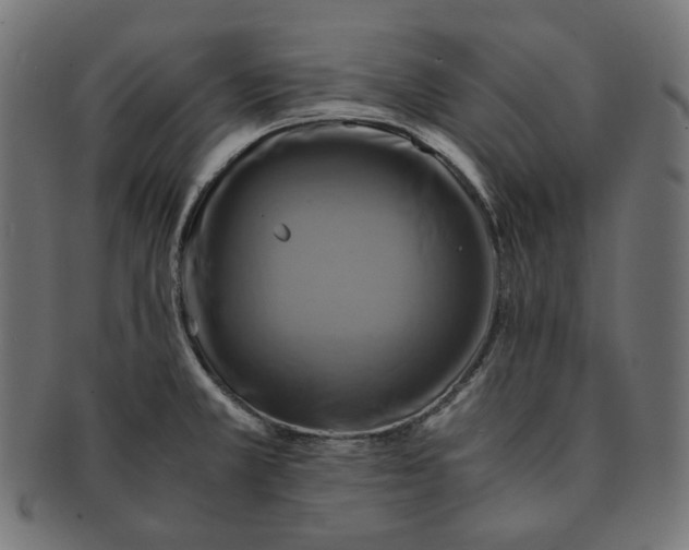 X0000091711381200709210933