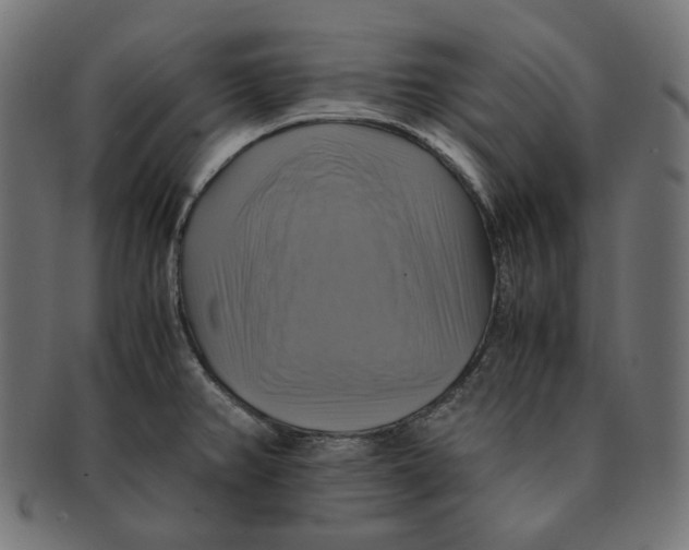 X0000091711382200709210933