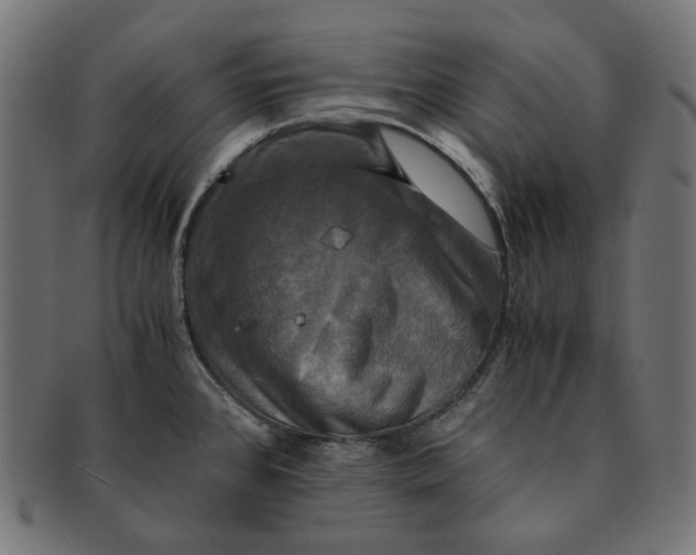 X0000091711384200709210933