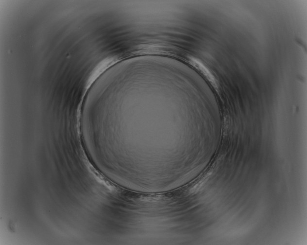 X0000091711386200709210933