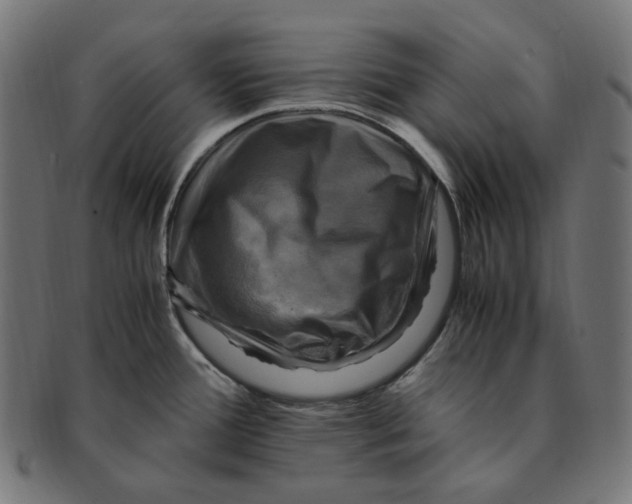 X0000091711388200709210933