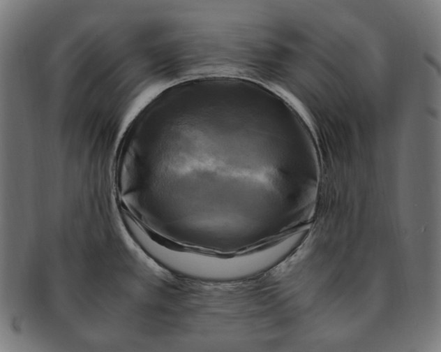 X0000091711389200709210933