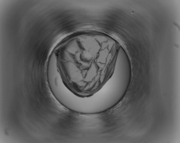 X0000091711392200709210933