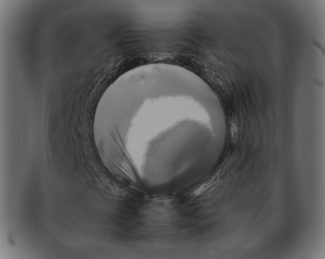 X0000091711393200709210933