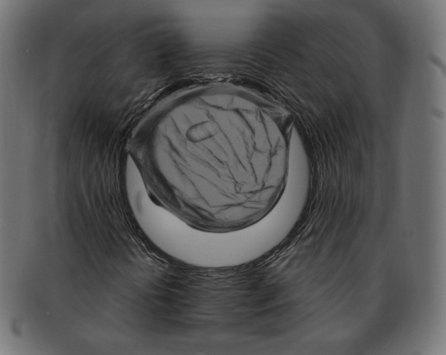 X0000091711394200709210933