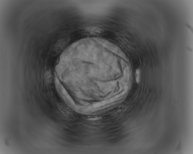 X0000091711395200709210933