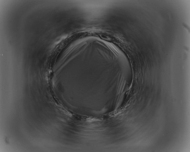 X0000091711398200709210933