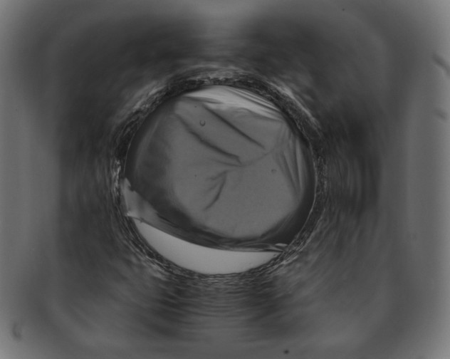 X0000091711399200709210933