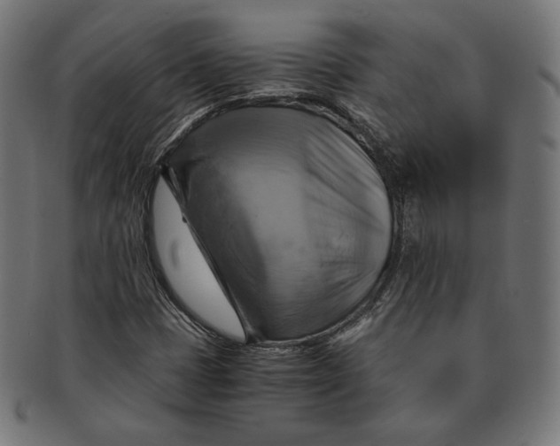 X0000091711401200709210933