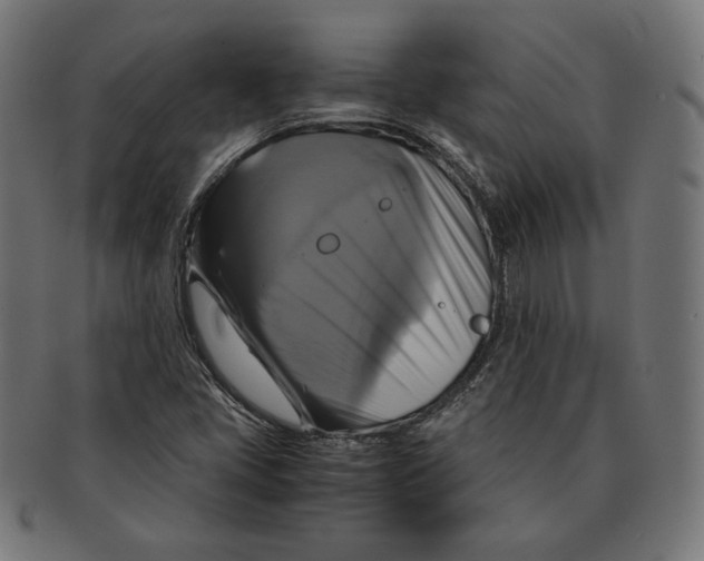 X0000091711405200709210933