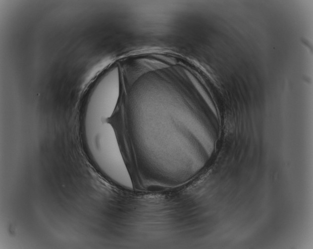 X0000091711406200709210933