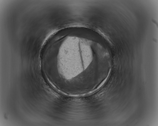 X0000091711408200709210933