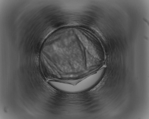 X0000091711409200709210933