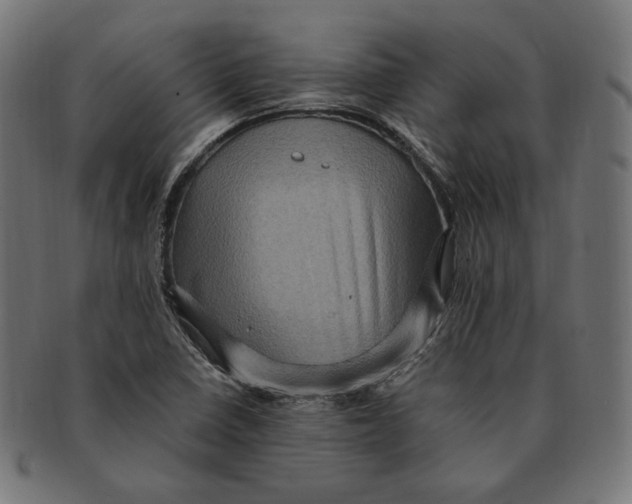 X0000091711410200709210933