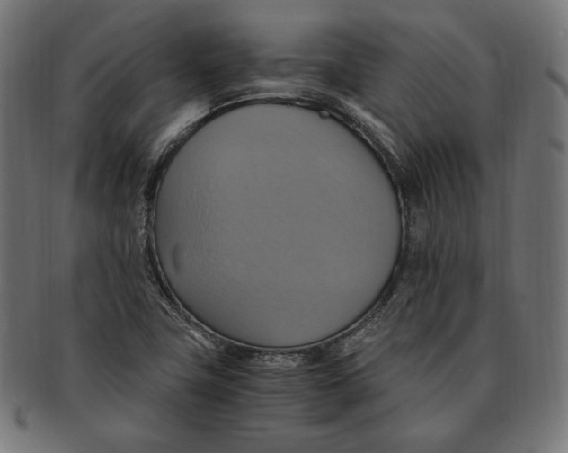 X0000091711411200709210933