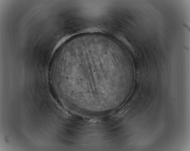 X0000091711412200709210933