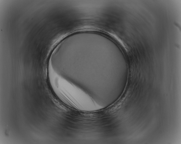 X0000091711413200709210933