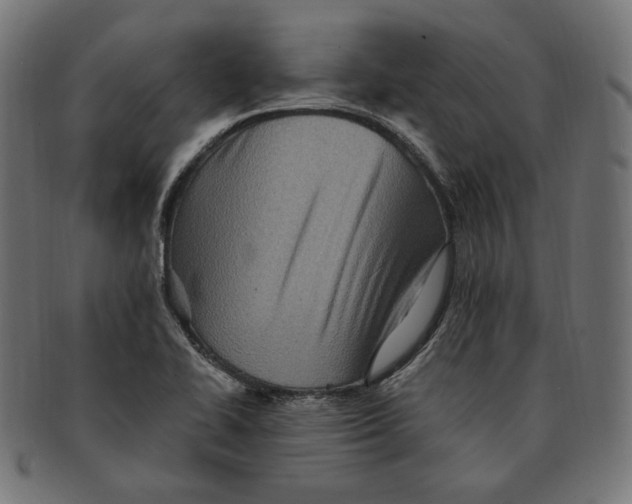 X0000091711414200709210933