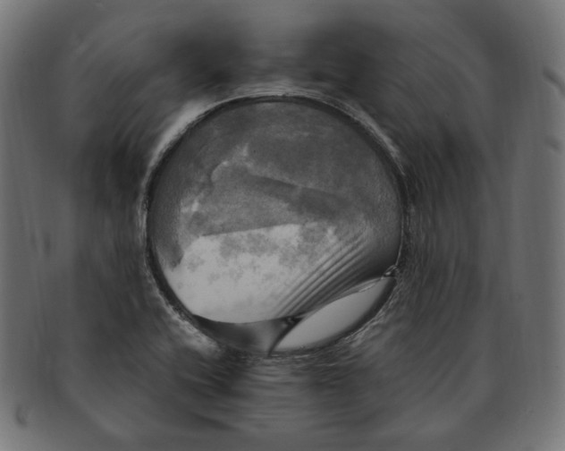 X0000091711416200709210933