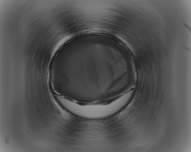 X0000091711418200709210933