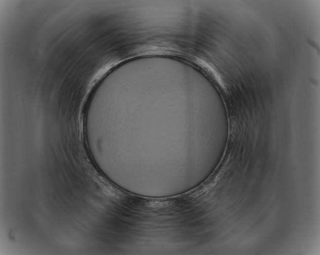 X0000091711419200709210933