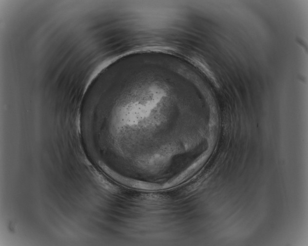 X0000091711420200709210933