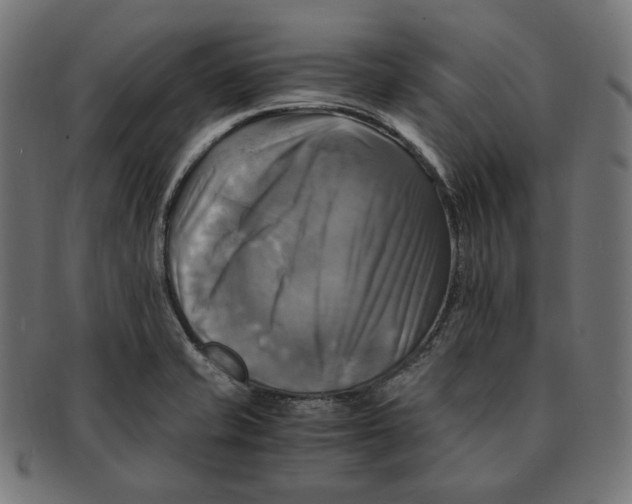 X0000091711421200709210933