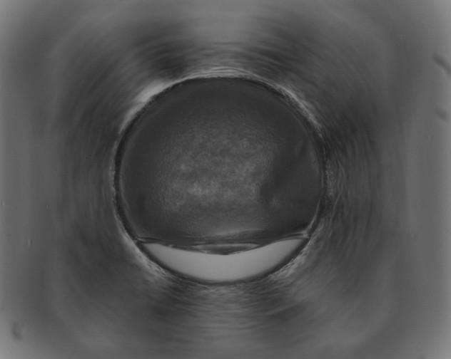 X0000091711422200709210933