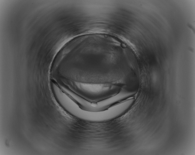 X0000091711423200709210933