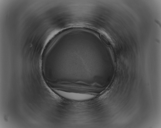 X0000091711424200709210933