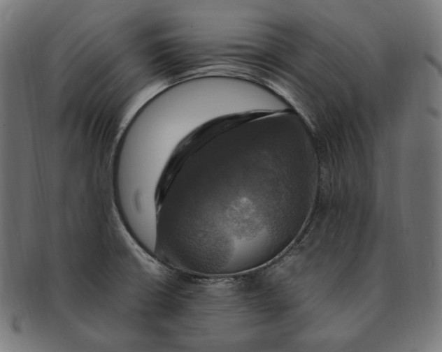 X0000091711426200709210933