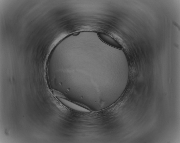 X0000091711427200709210933