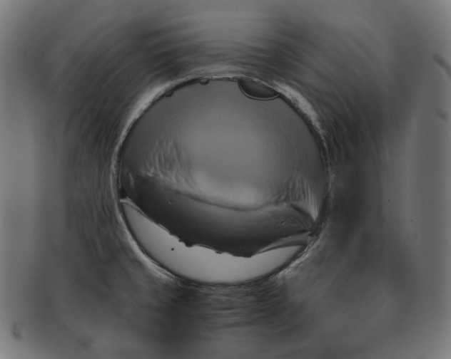 X0000091711429200709210933